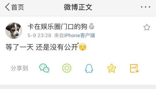 吃瓜爆料-91爆料,吃瓜爆料，91爆料带你直击明星幕后真相