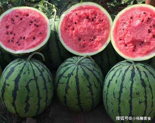 吃瓜网在线观看,热门剧集在线观看，带你畅享视听盛宴