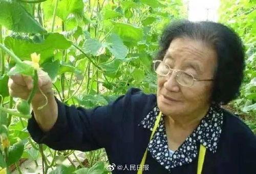 吃瓜网在线观看,热门剧集在线观看，带你畅享视听盛宴